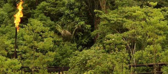 Gasfackeln im Amazonasregenwald in Ecuador