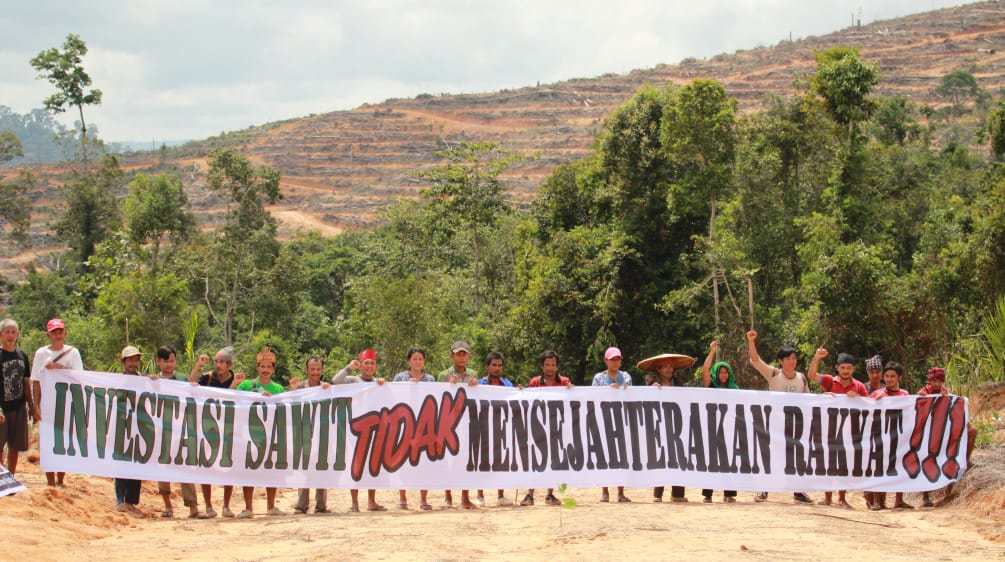 Bewohner von Kinipan protestieren gegen Kahlschlag und Palmölplantage